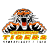 TigerSport: Real-time live score, sport predictions, fixtures and odds.