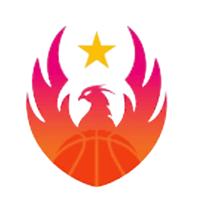 TigerSport: Real-time live score, sport predictions, fixtures and odds.