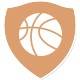 TigerSport: Real-time live score, sport predictions, fixtures and odds.