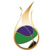 TigerSport: Real-time live score, sport predictions, fixtures and odds.