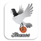 TigerSport: Real-time live score, sport predictions, fixtures and odds.