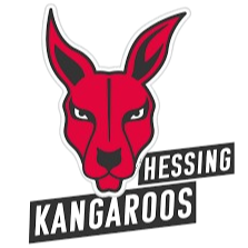 TigerSport: Real-time live score, sport predictions, fixtures and odds.