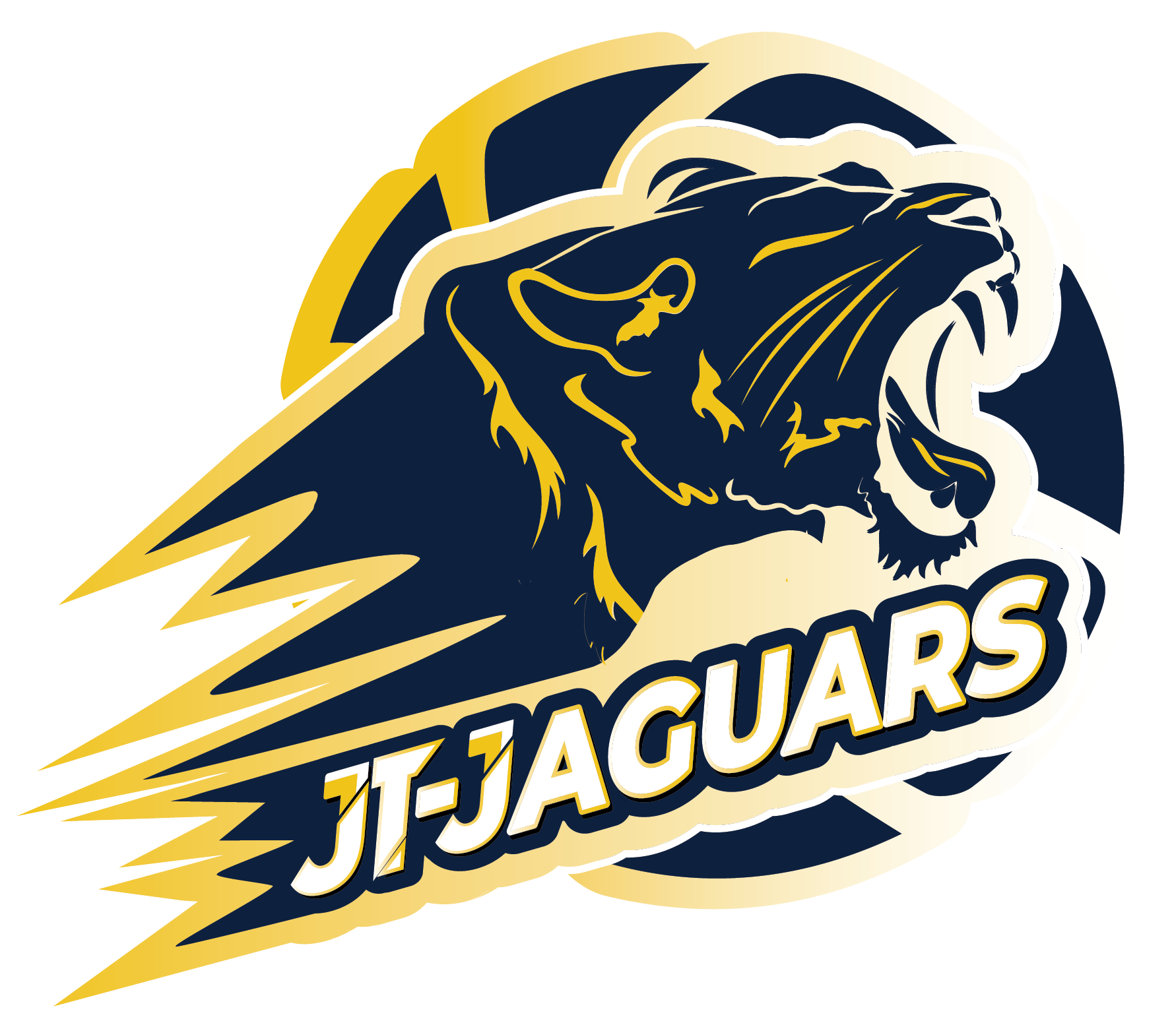 TigerSport: Real-time live score, sport predictions, fixtures and odds.