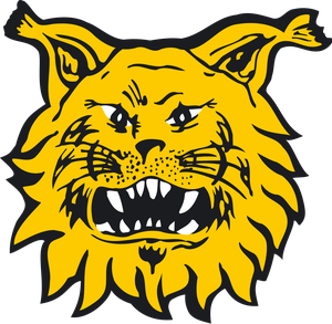 TigerSport: Real-time live score, sport predictions, fixtures and odds.