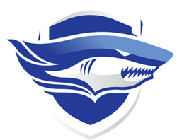 TigerSport: Real-time live score, sport predictions, fixtures and odds.