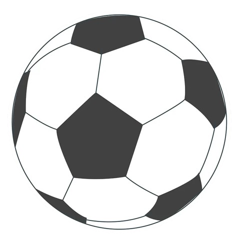 TigerSport: Real-time live score, sport predictions, fixtures and odds.