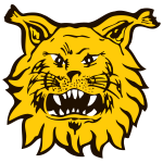 TigerSport: Real-time live score, sport predictions, fixtures and odds.