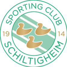 TigerSport: Real-time live score, sport predictions, fixtures and odds.