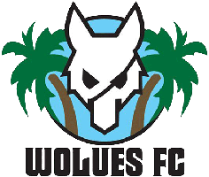 TigerSport: Real-time live score, sport predictions, fixtures and odds.