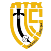 TigerSport: Real-time live score, sport predictions, fixtures and odds.