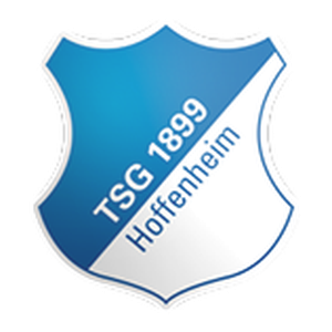TigerSport: Real-time live score, sport predictions, fixtures and odds.