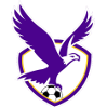 TigerSport: Real-time live score, sport predictions, fixtures and odds.