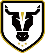 TigerSport: Real-time live score, sport predictions, fixtures and odds.