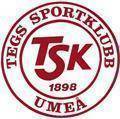 TigerSport: Real-time live score, sport predictions, fixtures and odds.