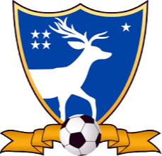 TigerSport: Real-time live score, sport predictions, fixtures and odds.
