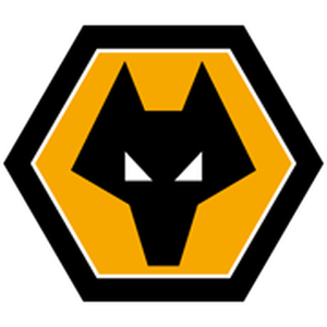 TigerSport: Real-time live score, sport predictions, fixtures and odds.