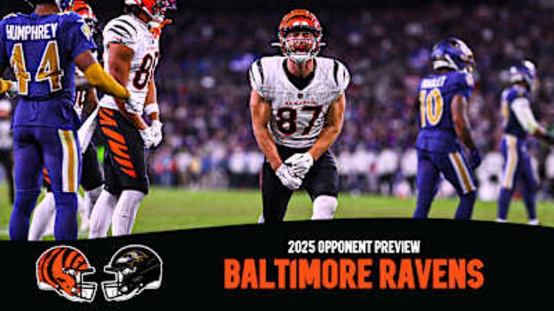 TigerSport: Real-time live score, sport predictions, fixtures and odds.