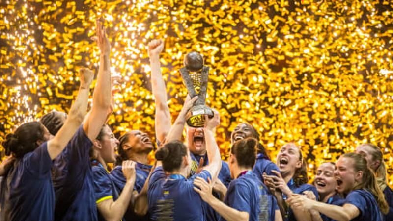 TigerSport: Real-time live score, sport predictions, fixtures and odds.