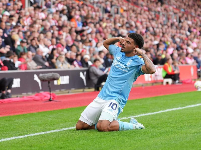 TigerSport: Real-time live score, sport predictions, fixtures and odds.