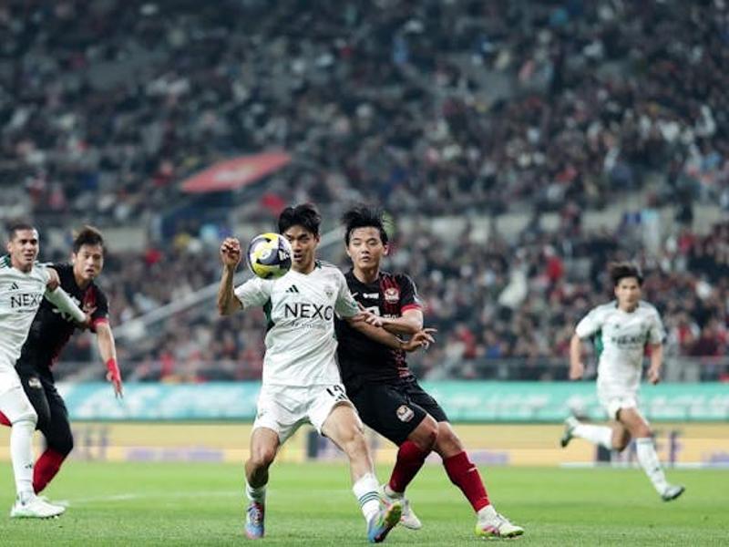 TigerSport: Real-time live score, sport predictions, fixtures and odds.