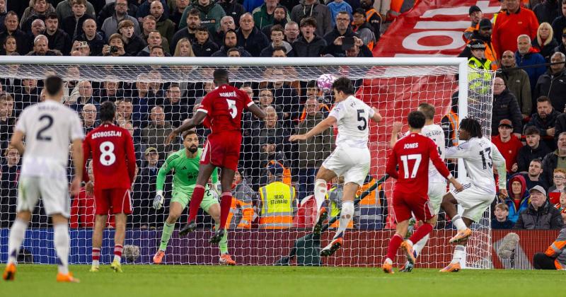 TigerSport: Real-time live score, sport predictions, fixtures and odds.